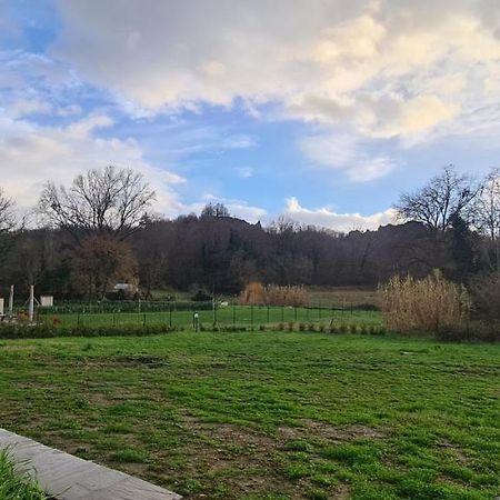 Villa Azzurra Immersa Nel Verde Tra Firenze, Arezzo E Siena テッラヌオーヴァ・ブラッチョリーニ エクステリア 写真